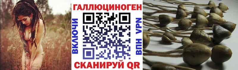 Галлюциногенные грибы GOLDEN TEACHER  Верхний Тагил 